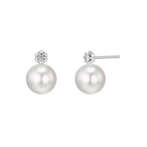 PE0038 925 Sterling Silver Single Shell Pearl CZ Stud Earring