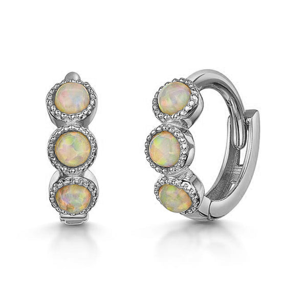 FE0982 Tiny Cartilage Hoop Earrings