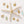 VFD0812 Starfish Necklace Charm