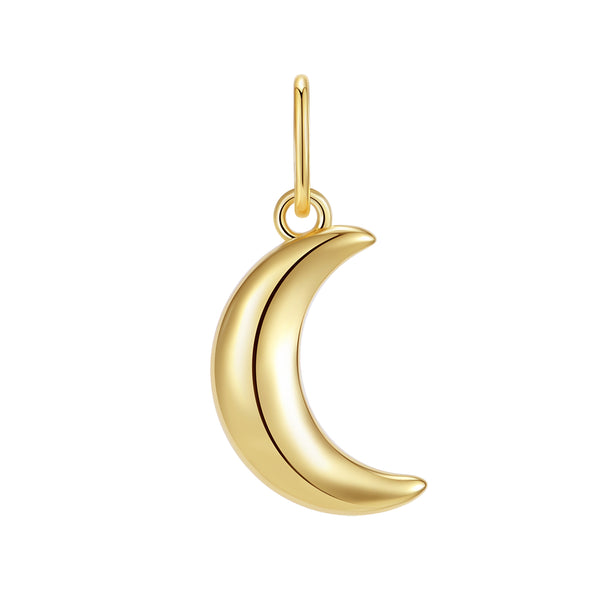 VFD0835 Crescent Charm