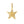 VFD0812 Starfish Necklace Charm