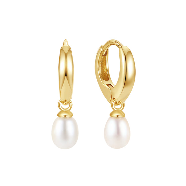 BVFE1410 Hoop Dangle Earrings