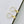 FE2699 925 Sterling Silver Baroque Irregular Freshwater Pearl Stud Earrings