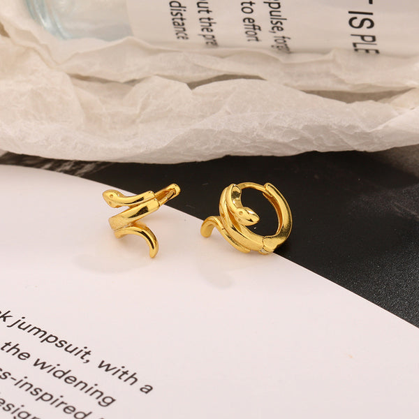 FE2548 925 Sterling Silver Dainty Boa Hoop Earring