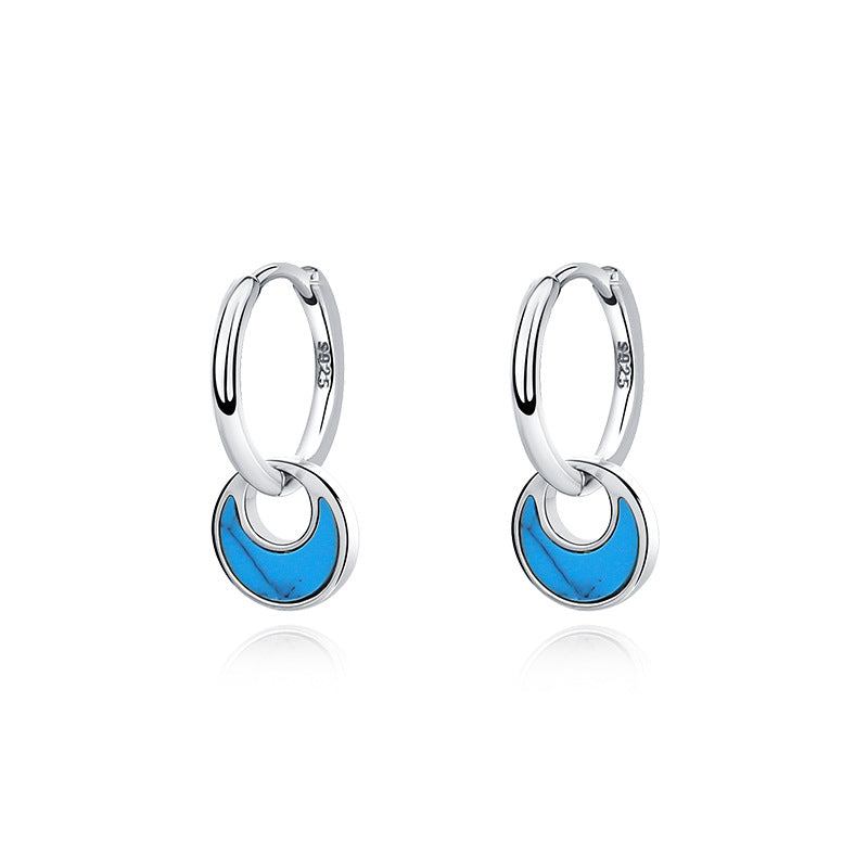 FE2247 Abalone Turquoise Dangle Earrings