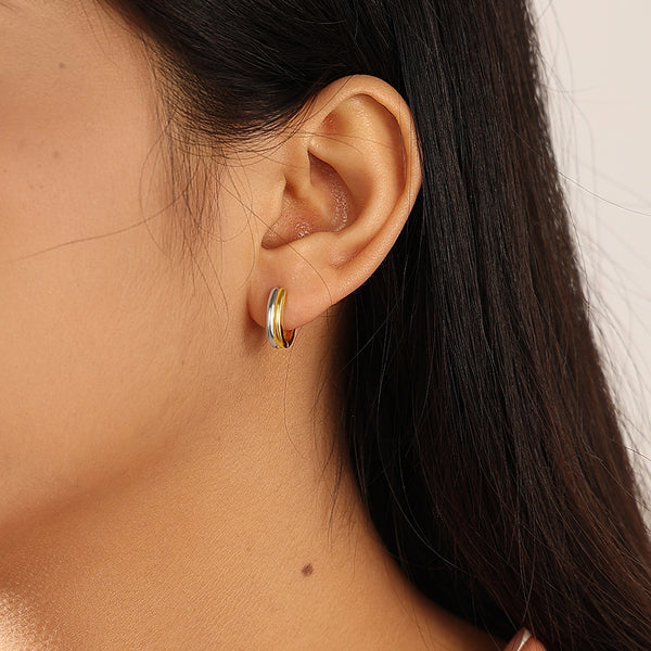 VFE0705 Two Tone Earrings