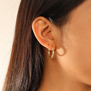 VFE0069 Minimalist Zirconia Hoop Earrings