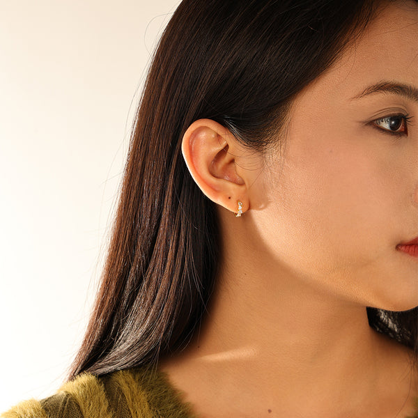 FE3099 Stacked Zirconia Hoop Earring