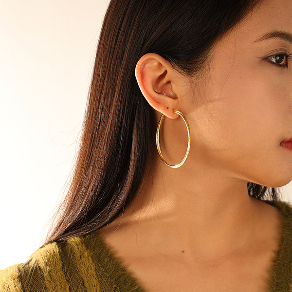 FE3199 Double Circle Big Hoop Earring