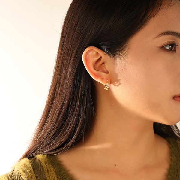 FE3189 Double Circle Flower Zirconia Earring