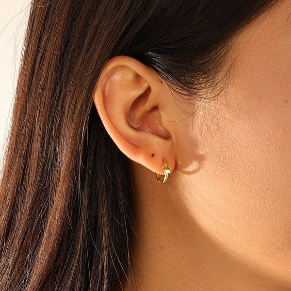 FE3193 Star Hoop Earring