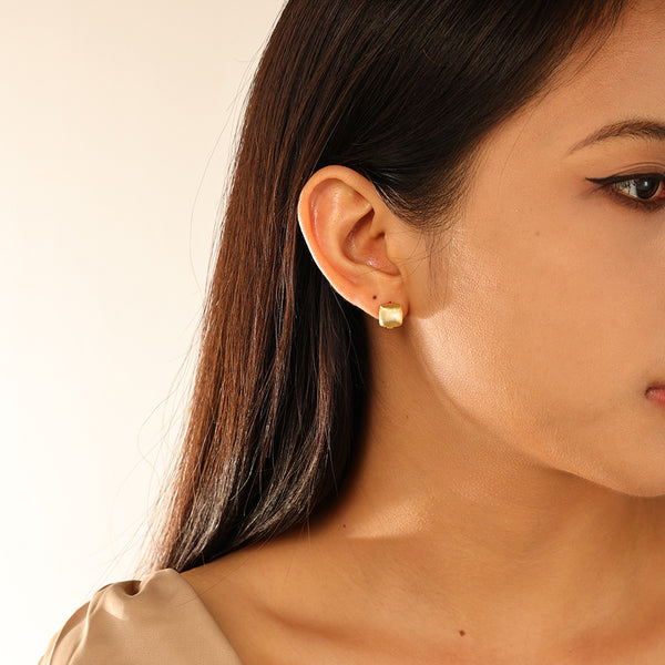 FE2934 925 Sterling Silver Personalized Brushed Earrings