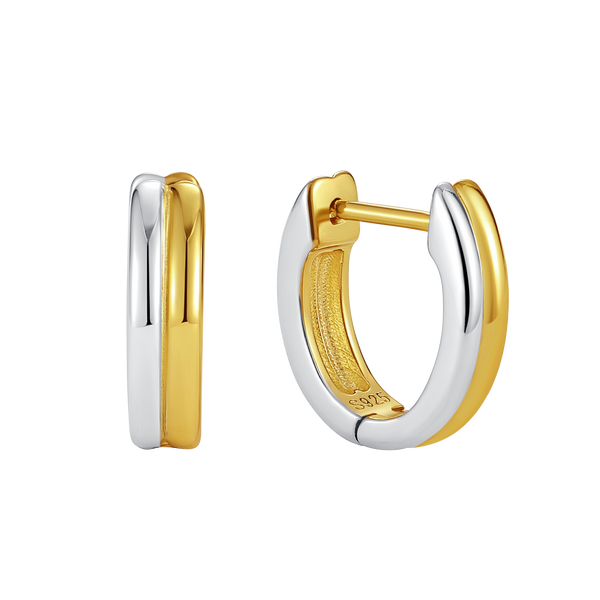 VFE0705 Two Tone Earrings