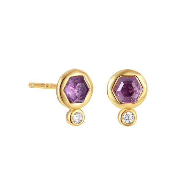 VFE1450 Hexagonal Birthstone Stud Earrings