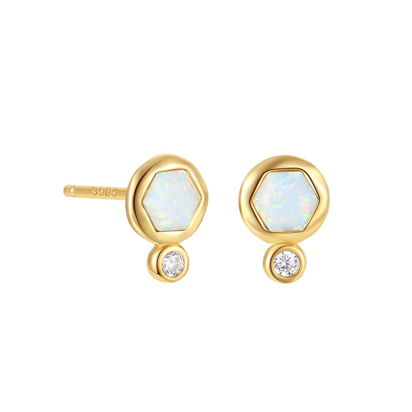 VFE1450 Hexagonal Birthstone Stud Earrings
