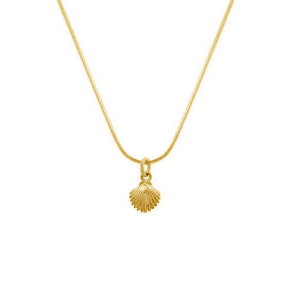 FX0333 925 Sterling Silver Mini Shell Pendant Necklace