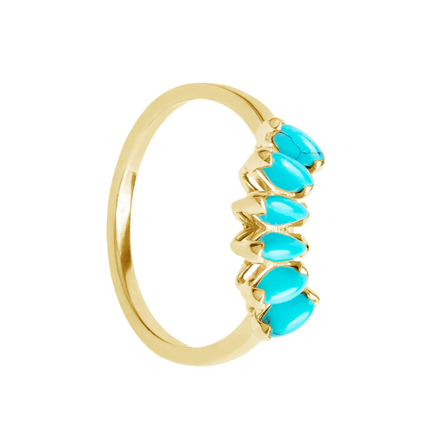 FJ0725 Turquoise Ring