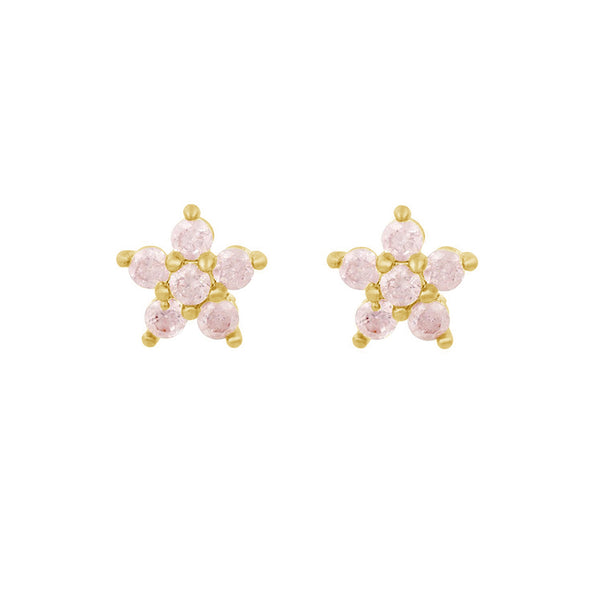 FE1566 925 Sterling Silver Star Zircon Stud Earrings