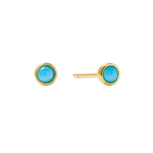 FE1810 Turquoise Stud Earrings
