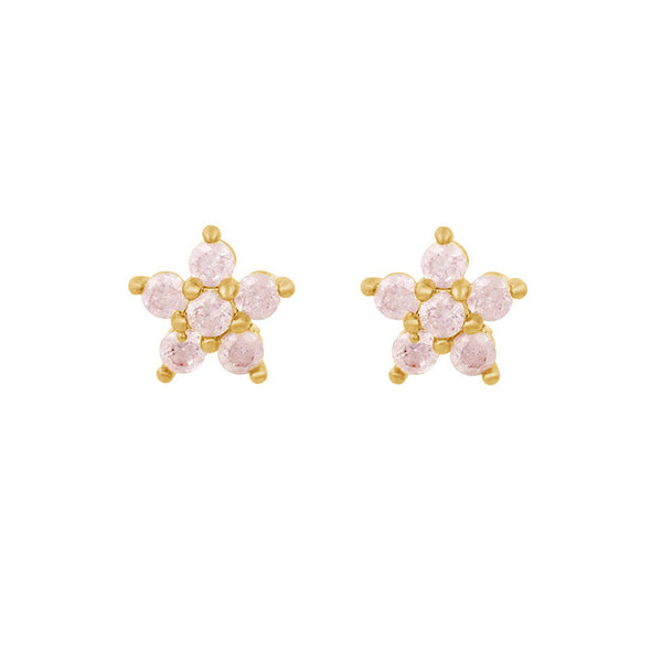 FE1566 925 Sterling Silver Star Zircon Stud Earrings