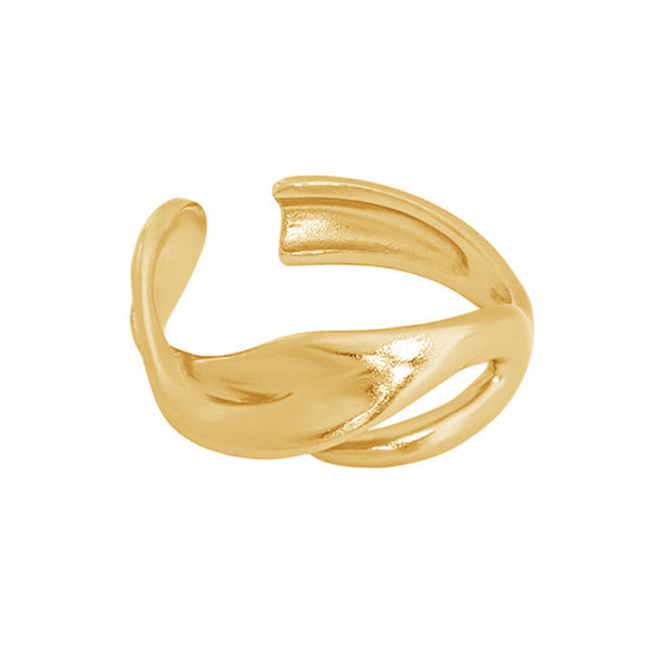 RHJ1086 S925 Hollow Twist Ring