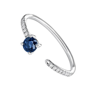 FJ0081 925 Sterling Silver Blue Gemstone Open Ring