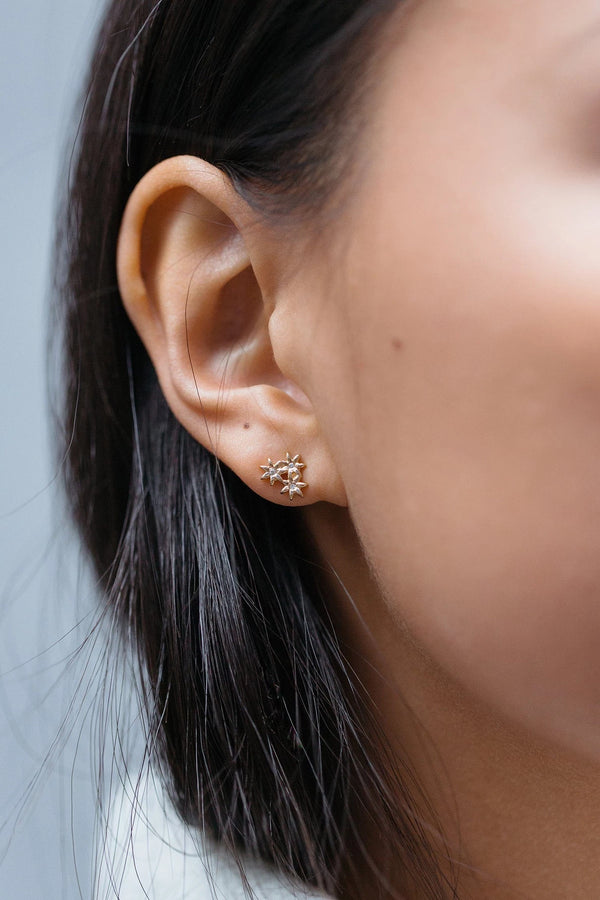 FE0279 925 Sterling Silver Flower Stud Earrings with White Diamonds