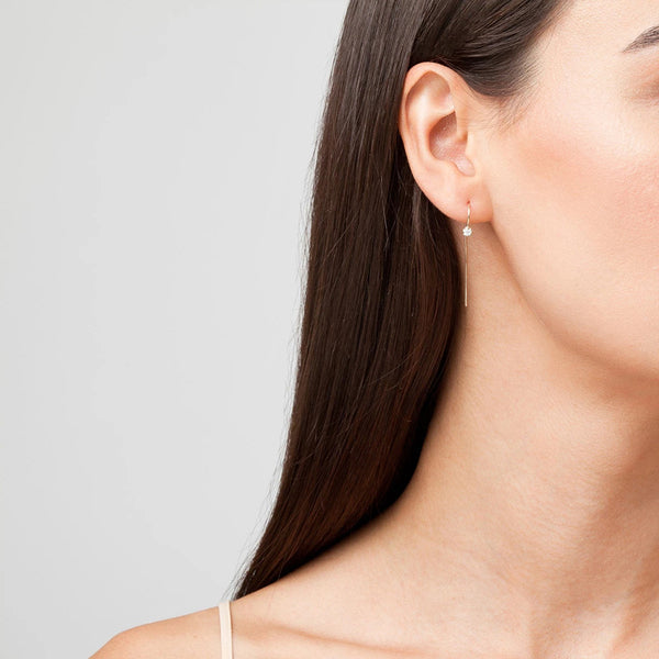 FE0249 925 Sterling Silver Diamond Hook Earrings