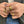 FJ0425 925 Sterling Silver Oval Signet Zircon Ring