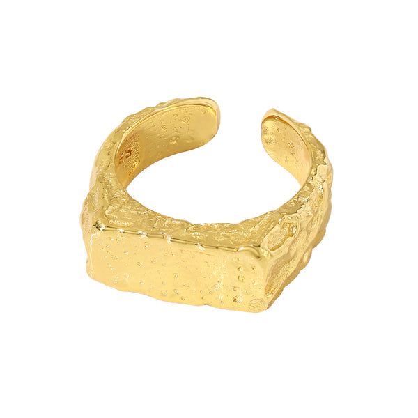 FJ0821 925 Sterling Silver Textured Lava Signet Ring For Women