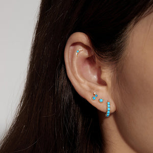 FE1675 CZ Turquoise Double Stud Earring