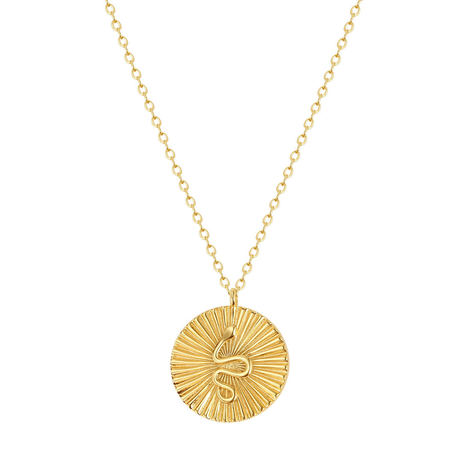 YHN073 925 Sterling Silver Women Snake Texture Coin Pendant Necklace