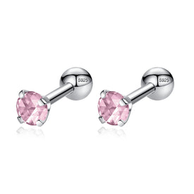 OEM Pretty Fashion 14K Sterling Silver Zircon Cherry Stud Earring Jewelry  Wholesale - China Earrings and Jewellery price